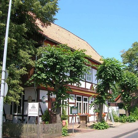 Apartment Brauner Hirsch Celle Eksteriør billede