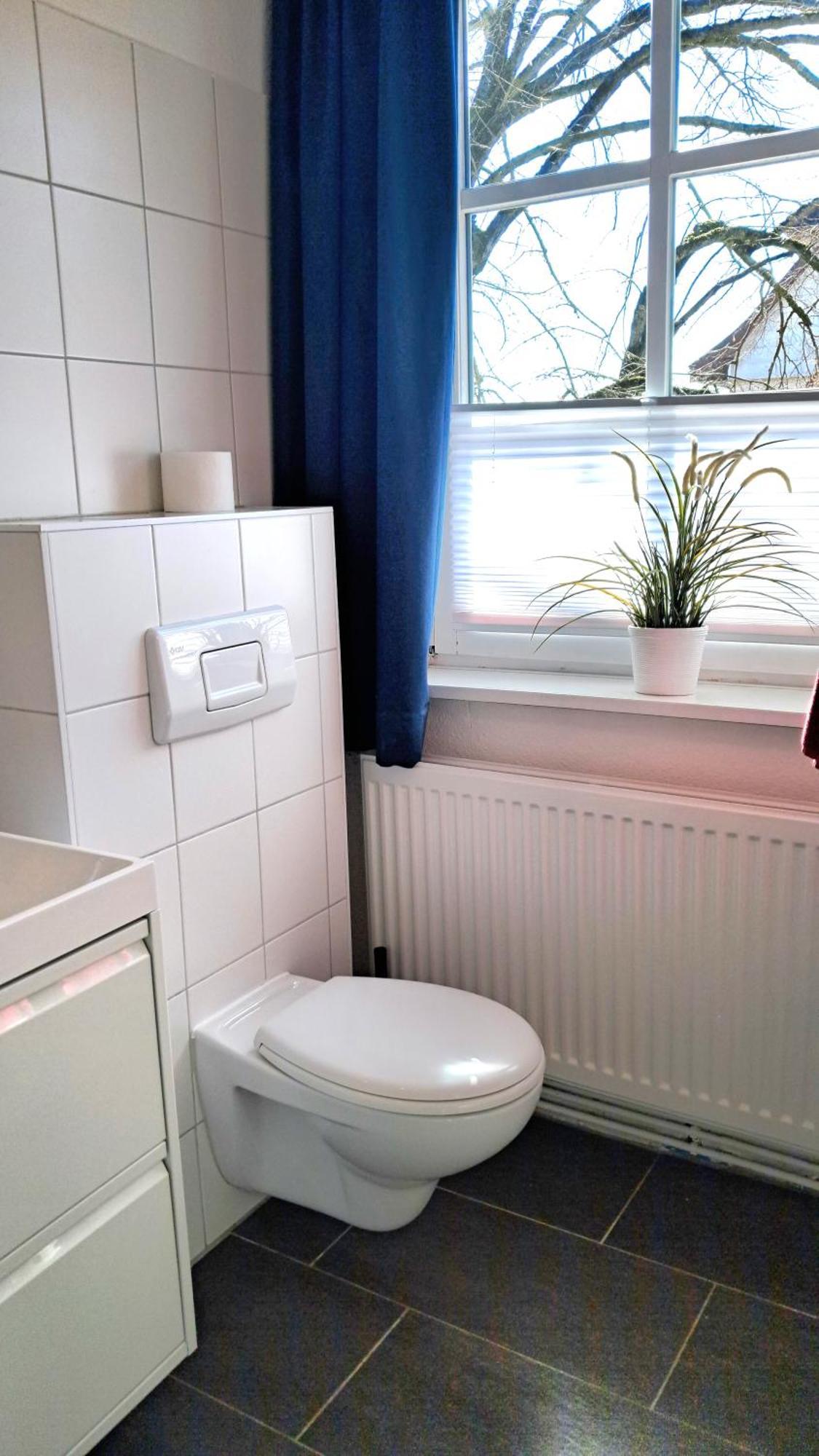 Apartment Brauner Hirsch Celle Eksteriør billede