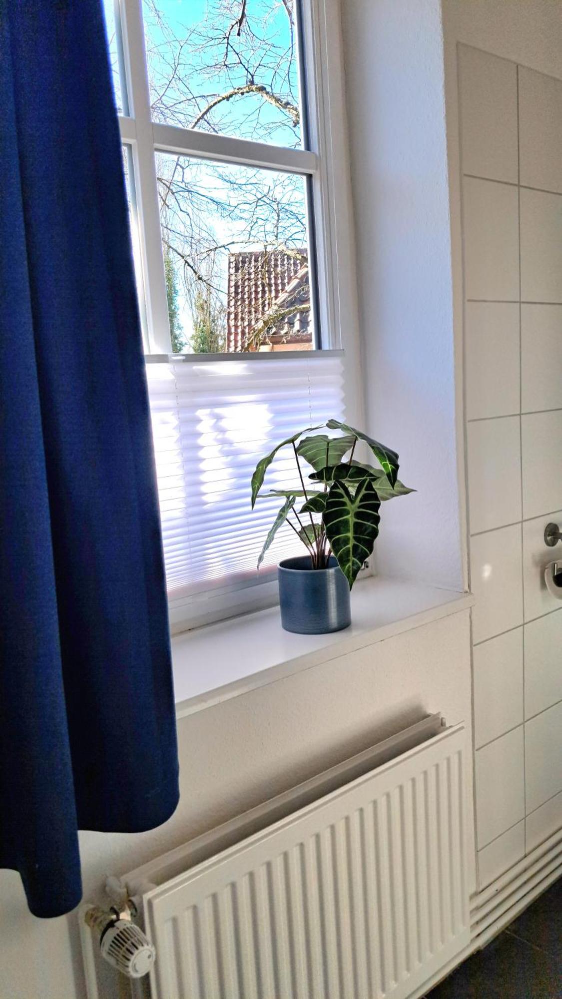 Apartment Brauner Hirsch Celle Eksteriør billede